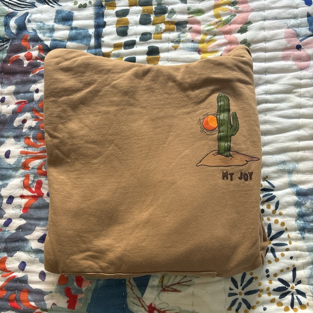 Mt. Joy Hoodie